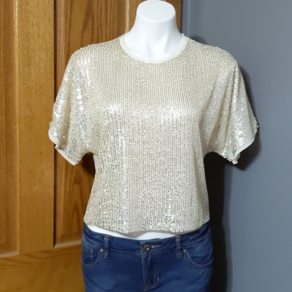 NWT Lucy Paris Silver and Beige Sequin Top